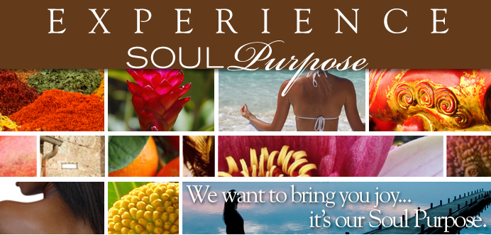soul purpose